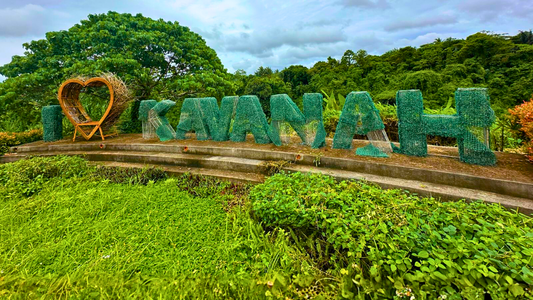 CUBO and Figtree Properties Partner to Bring Sustainable Farm Homes to 13 Kavanah Communities